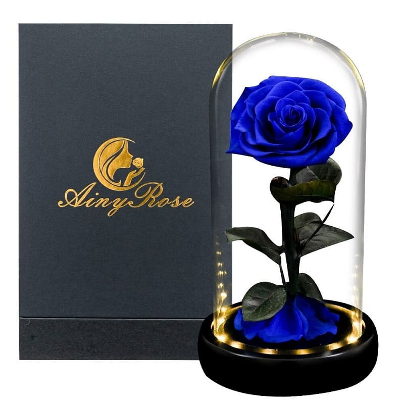 Rose Éternelle Sous Cloche Bleue Led XL avec boite