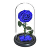Rose Éternelle Sous Cloche Bleue XL