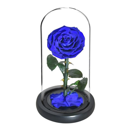 Rose Éternelle Sous Cloche Bleue XL