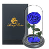 Rose Éternelle Sous Cloche Bleue XL avec boite