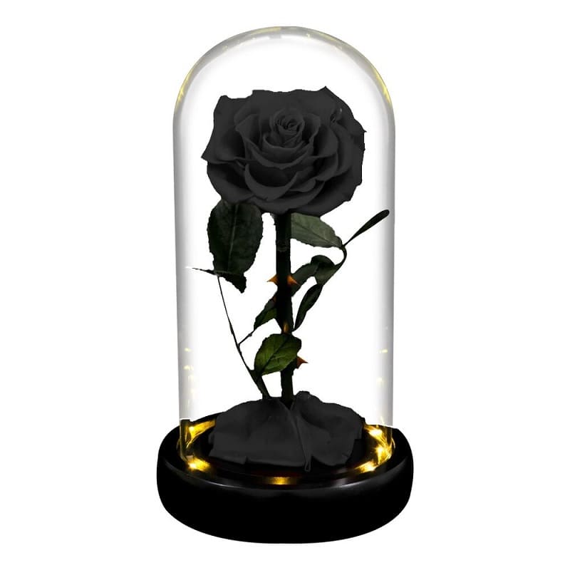 Rose Éternelle Sous Cloche Noire Led XL