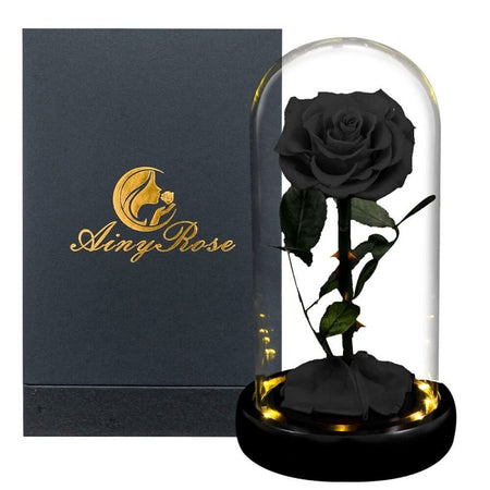 Rose Éternelle Sous Cloche Noire Led XL avec boite