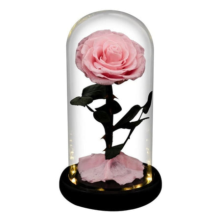 Rose Éternelle Sous Cloche Rose Led XL