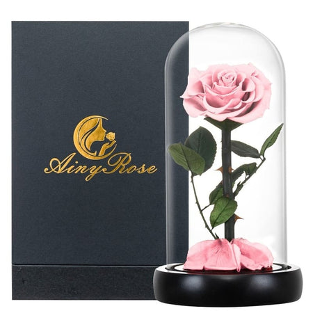 Rose Éternelle Sous Cloche Rose XL (avec boite)
