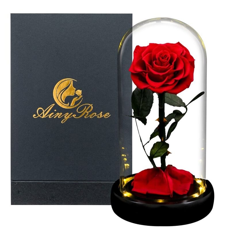 Rose Éternelle Sous Cloche Rouge Led XL avec boite