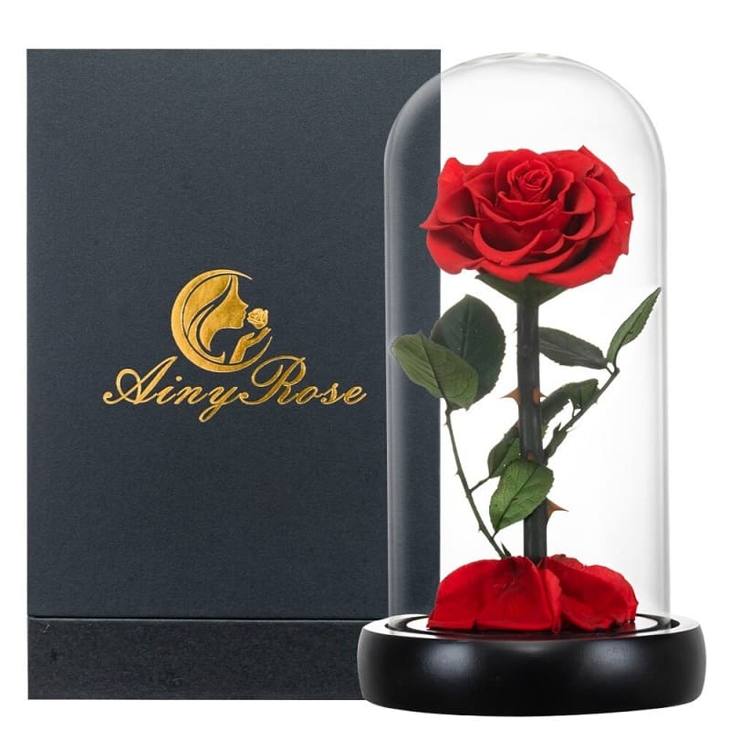 Rose Éternelle Sous Cloche Rouge XL avec boite