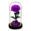 Rose Éternelle Sous Cloche Violette Led XL