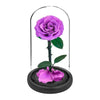 Rose Éternelle Sous Cloche Violette XL