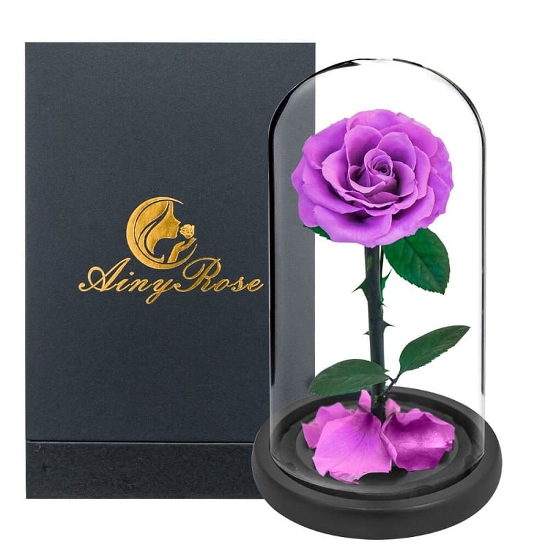 Rose Éternelle Sous Cloche Violette XL avec boite